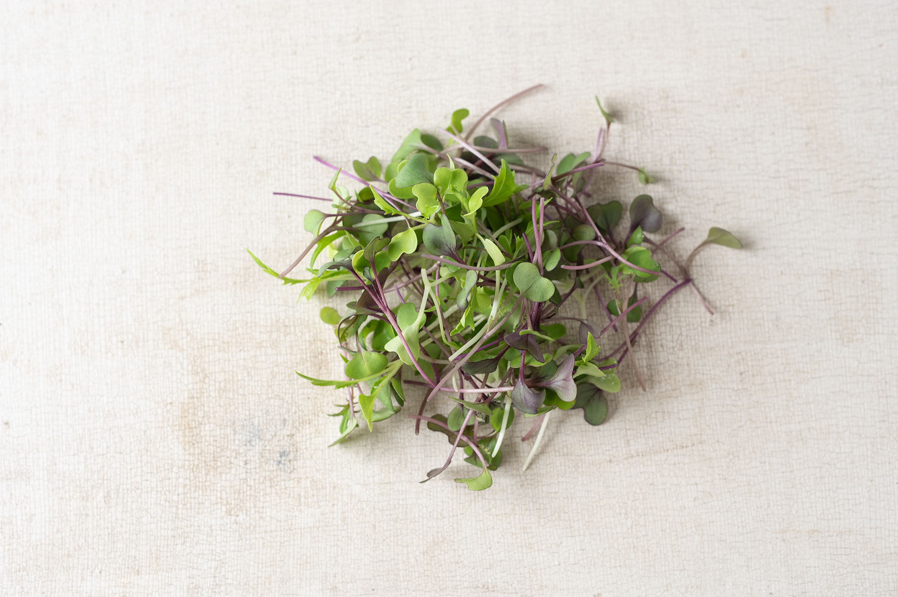 Mild Micro Mix Microgreen Mixes