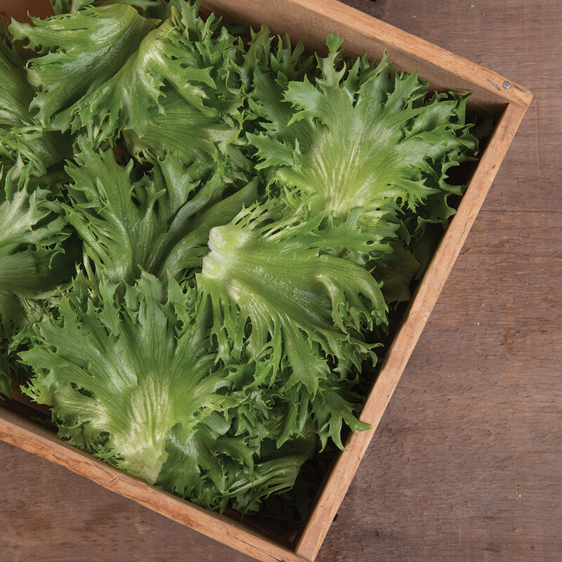 Verigo One-Cut Lettuce