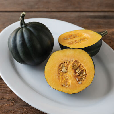 Honey Bear Winter Squash