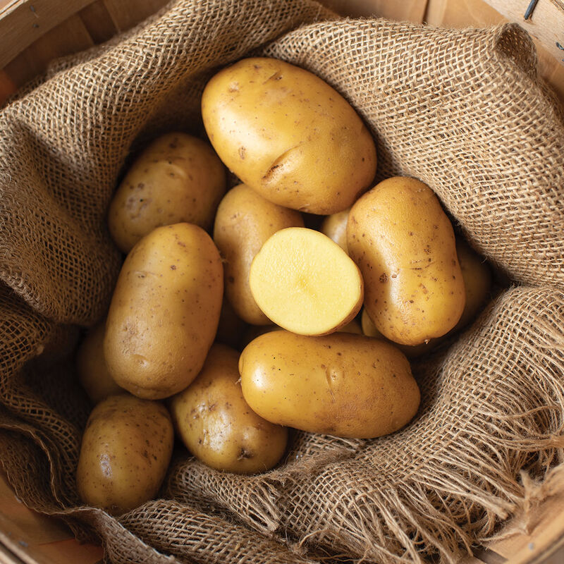 Natascha Potatoes