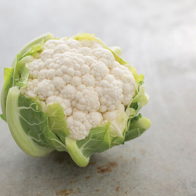 Sierra Madre Standard Cauliflower