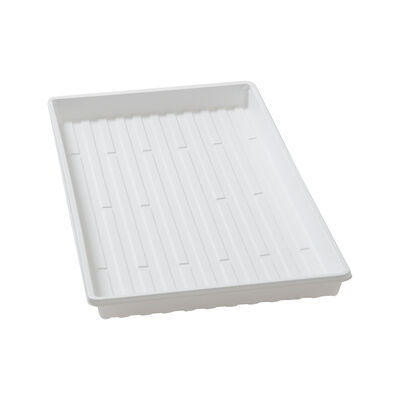 Shallow Leakproof Trays – 36 Count Support Trays