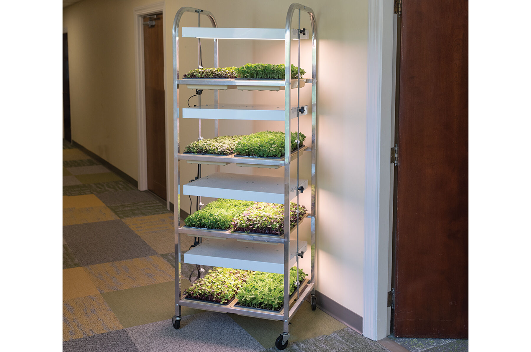 Grow light sale cart