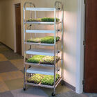 Compact Seedling Light Cart – 8 Trays, 320 Watts Grow Lights and Carts