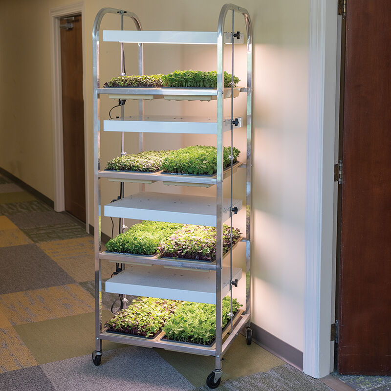 Compact Seedling Light Cart – 8 Trays, 320 Watts Grow Lights and Carts