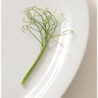 Feisty Feisty Greens and Garnish Peas
