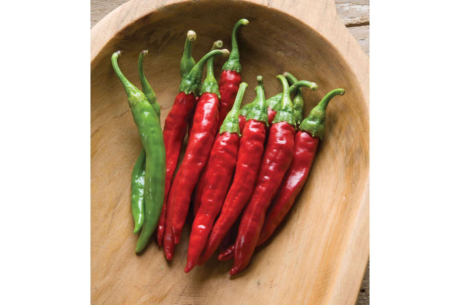 Red Rocket - Organic Cayenne Pepper Seed | Johnny's Selected
