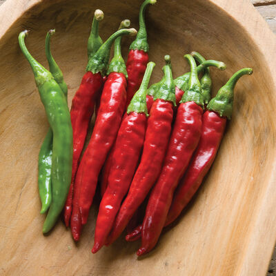 Red Rocket Red Rocket Hot Peppers