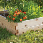 Cedar Raised Garden Bed – 3' x 6' Raised Beds & Planters
