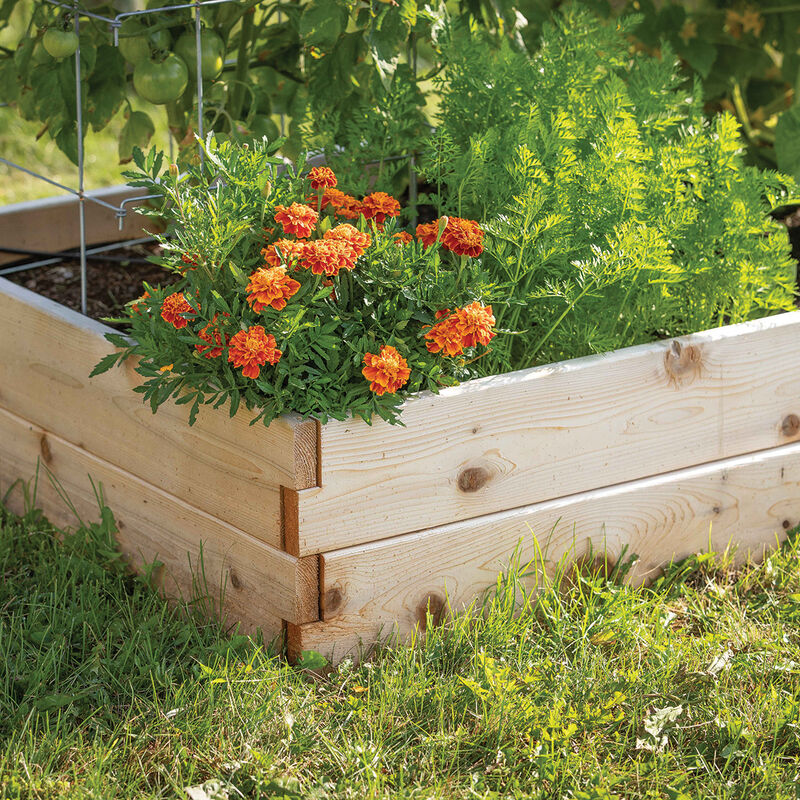 Cedar Raised Garden Bed – 3' x 6' Raised Beds & Planters
