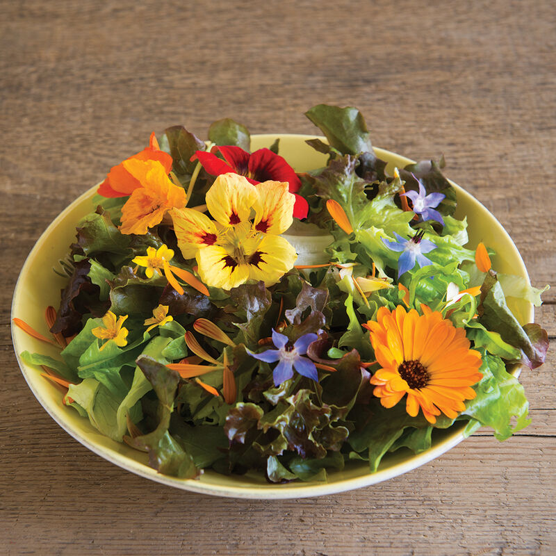 Edible Flower Collection Flower Collections and Mixes