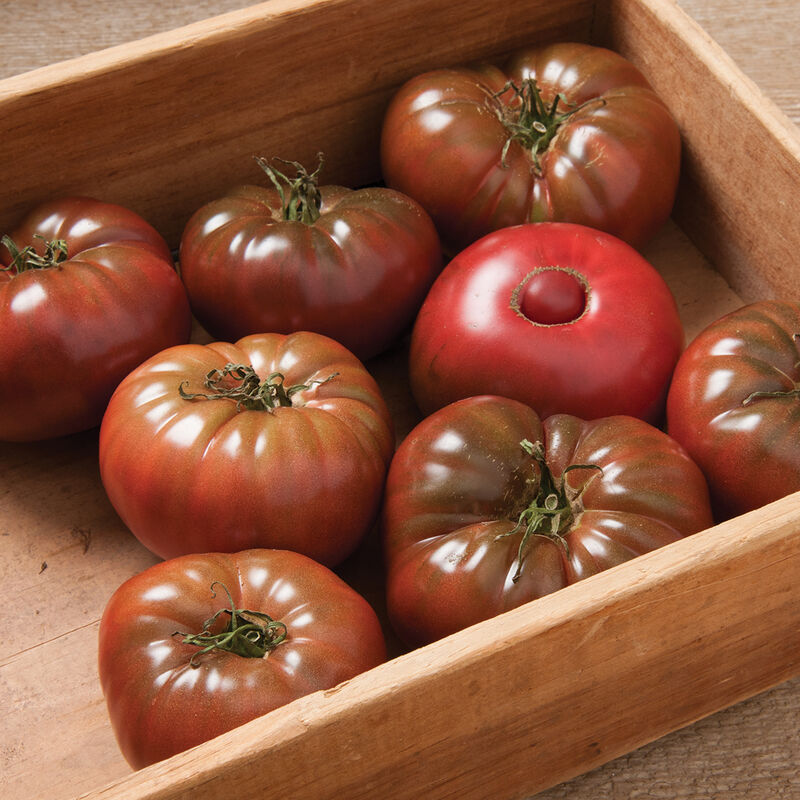 Marnero Beefsteak Tomatoes