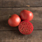Moskvich Moskvich Heirloom Tomatoes