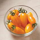 Blush Specialty Tomatoes