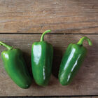 SVHJ5816 Hot Peppers