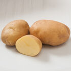 Satina Potatoes