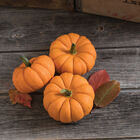 Jill-Be-Little Specialty Pumpkins