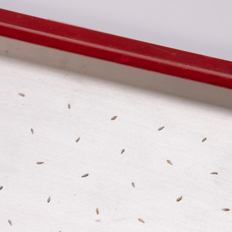 Seed Plate C264 Vacuum