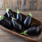 Thanos Italian Eggplants