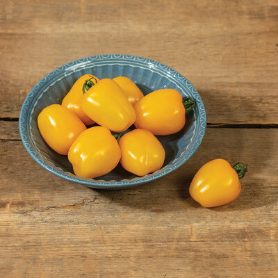 Apple Yellow Cherry Tomatoes