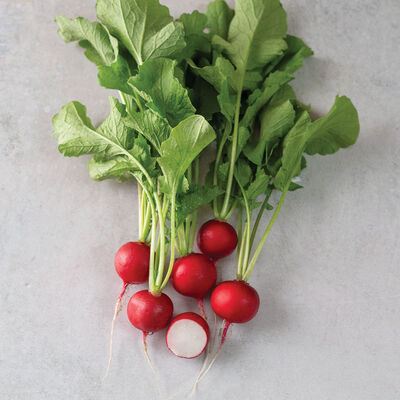 Pepito Round Radishes