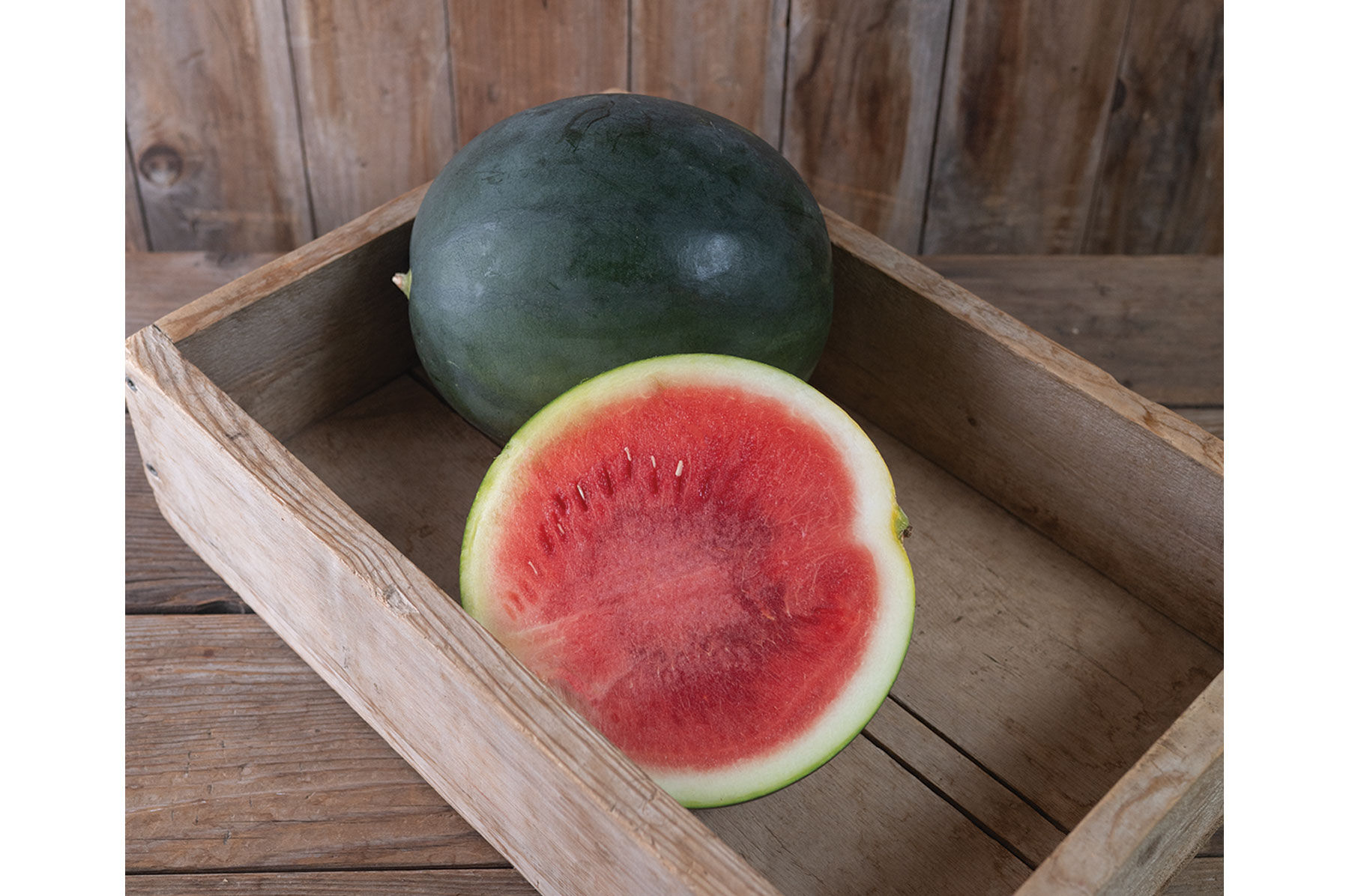Watermelon Seeds for Planting | Johnny's Selected Seeds