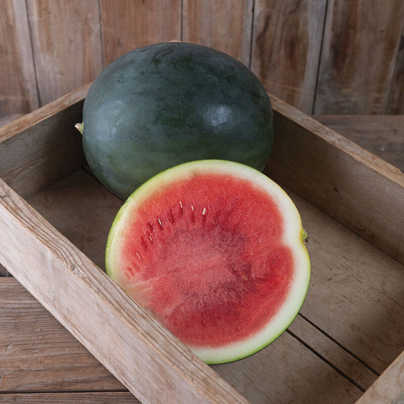 Saniara Triploid Watermelons (Seedless)