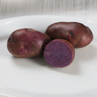 Adirondack Blue Potatoes