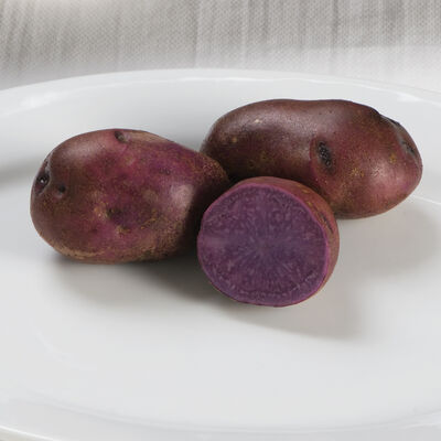 Adirondack Blue Potatoes