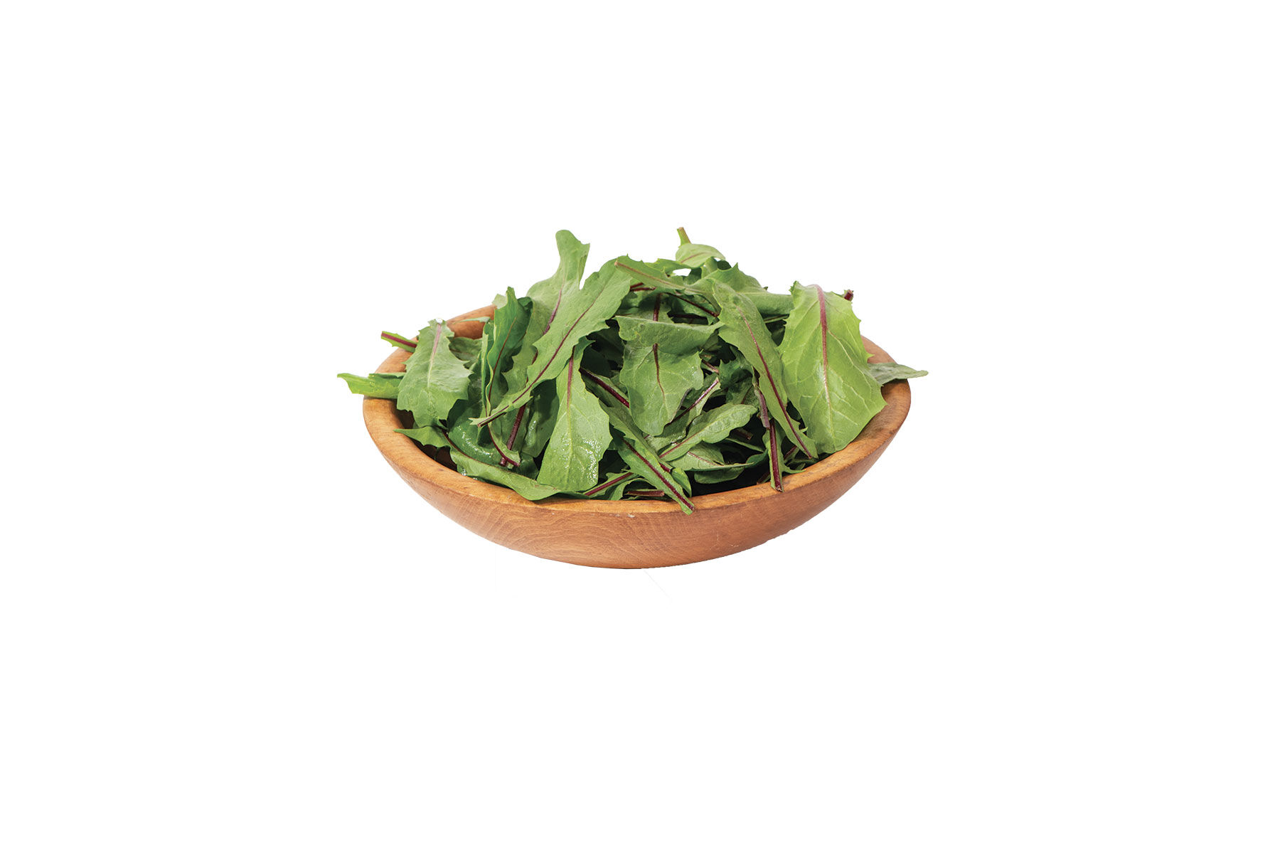 Italiko Red Italian Dandelion