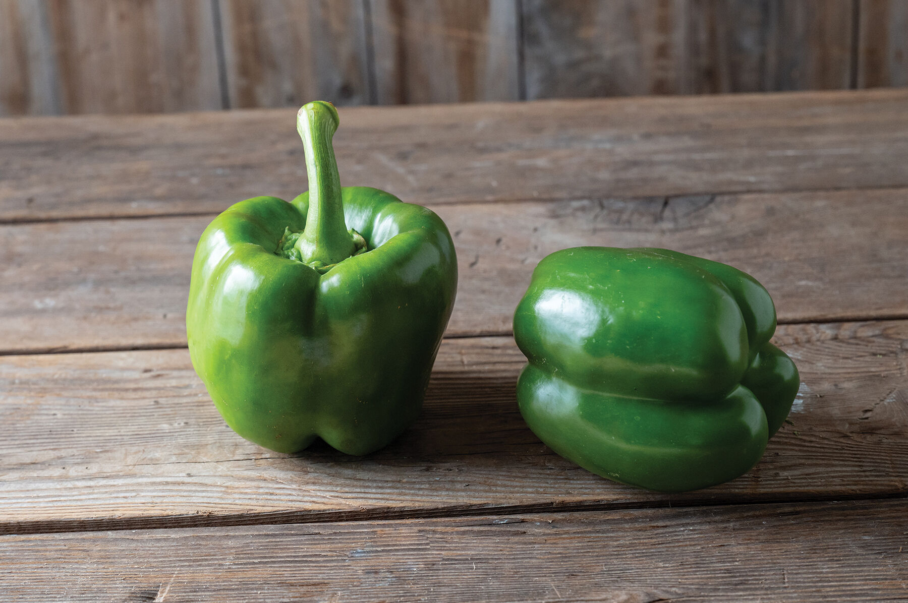 Huntington - (F1) Bell Pepper Seed | Johnny's Selected Seeds