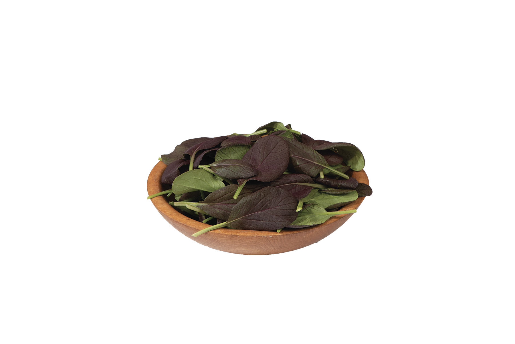 Johnny's Selected Seeds Rosie Asian Green Seed - Thumbnail 2