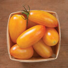 Blush Specialty Tomatoes