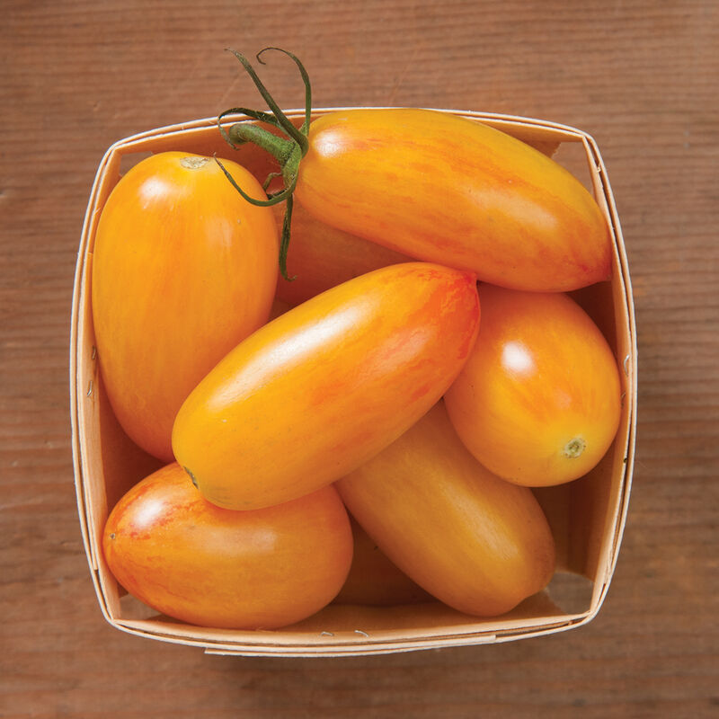 Blush Specialty Tomatoes