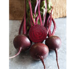 Babybeat Round Beets