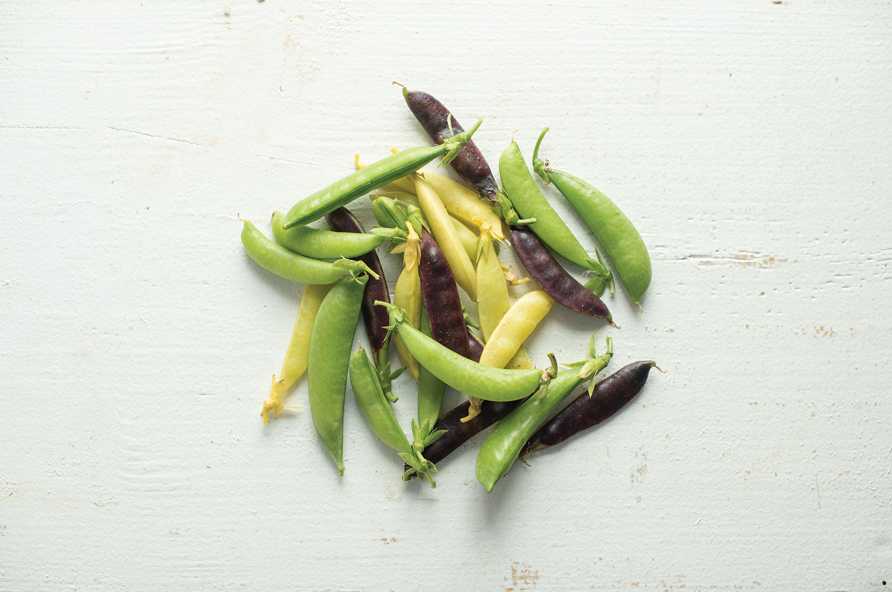 Calvin's Snap Peas Sets