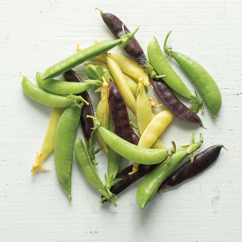 Calvin's Snap Peas Calvin's Snap Peas Sets