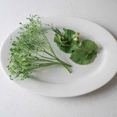 Parsley Pea Greens and Garnish Peas