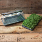 SunBlaster Mini Greenhouse Kit Seed Starter Kits