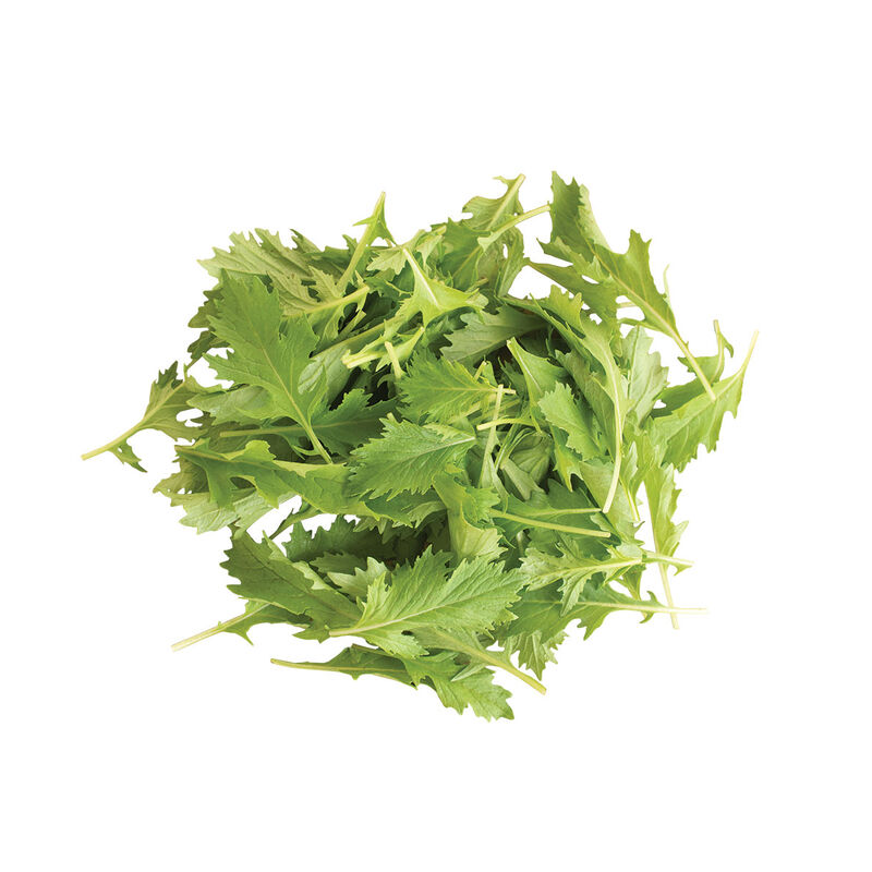 Mizuna Asian Greens