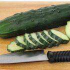 Marketmore 76 Slicing Cucumbers