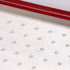 Seed Plate F264 Vacuum