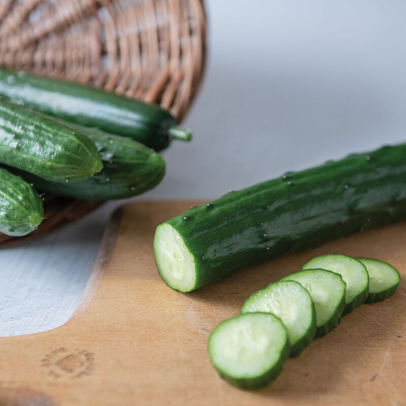 Sashimi Seedless and Thin-skinned Cucumbers