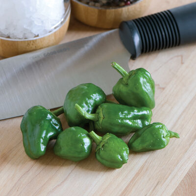 Padron Hot Peppers