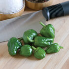 Padron Hot Peppers
