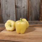Snowball Sweet Bell Peppers