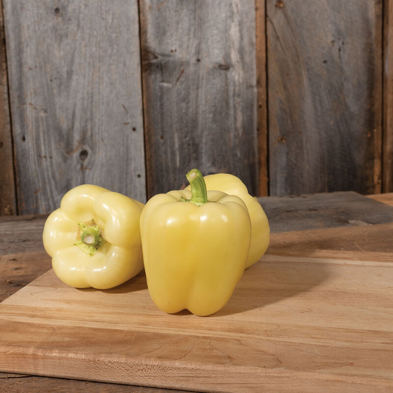 Snowball Sweet Bell Peppers