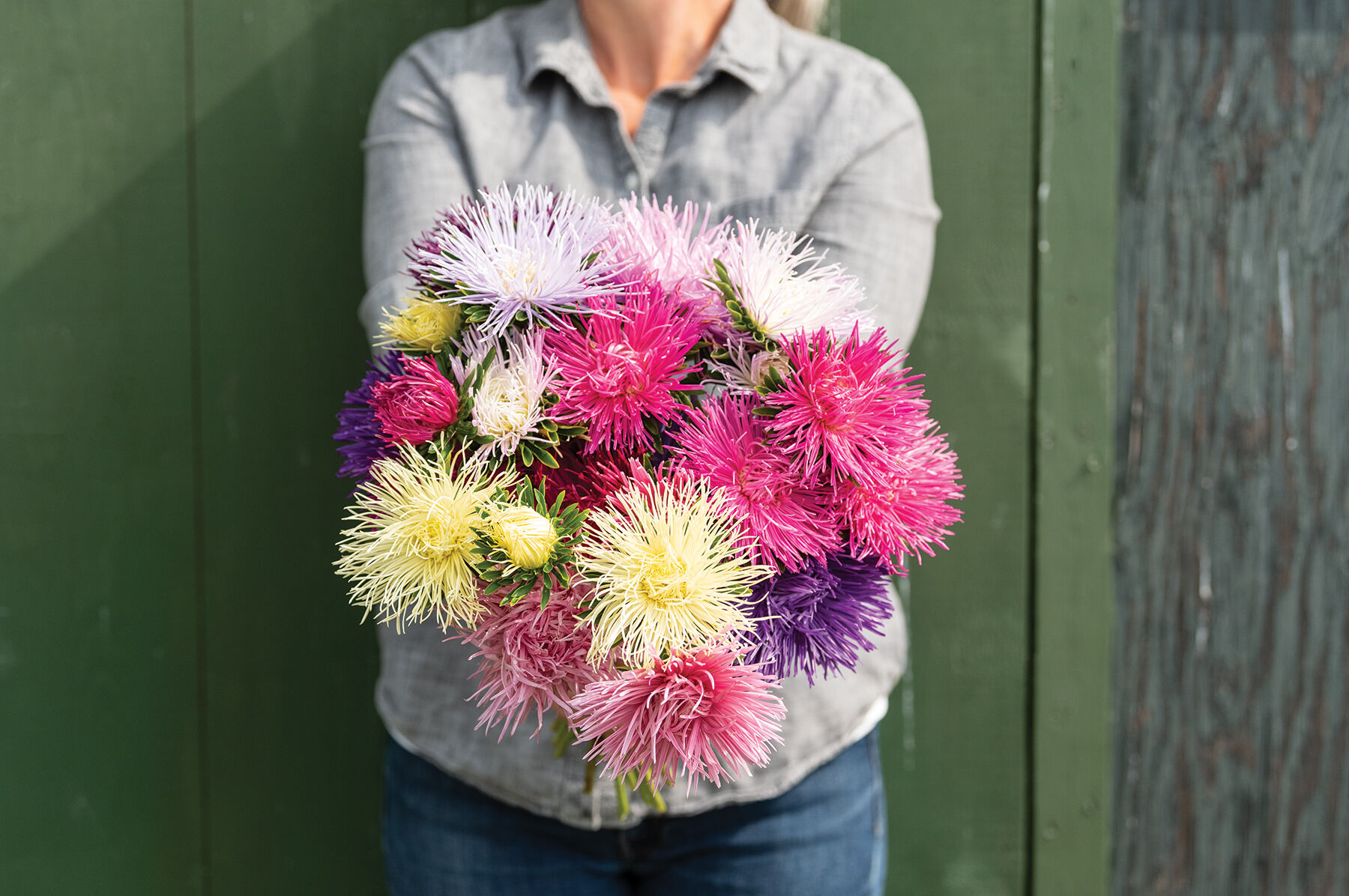 Valkyrie Mix - China Aster Seed | Johnny's Selected Seeds