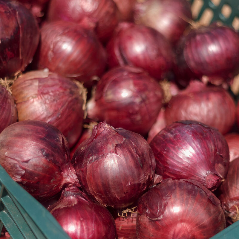 Red Sensation Full-Size Onions