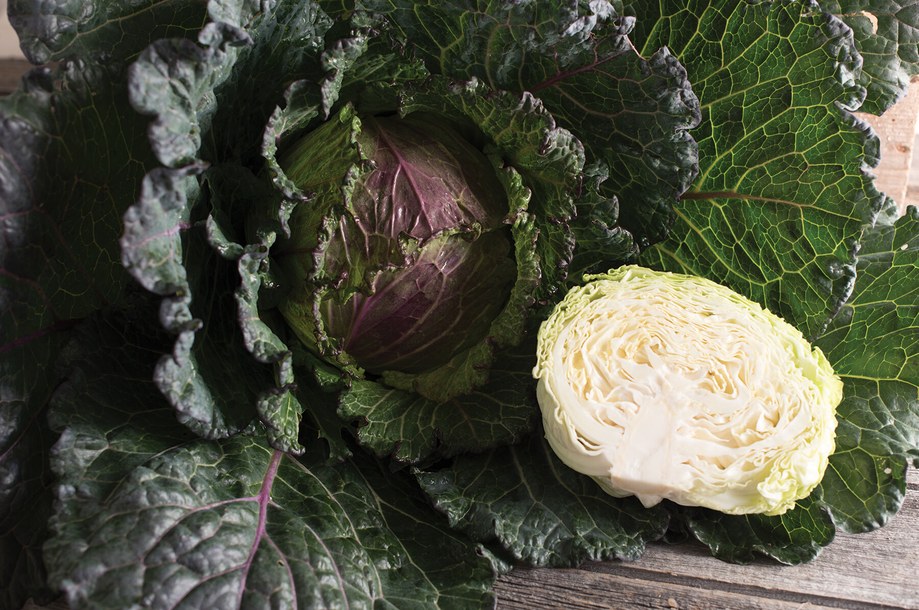 Deadon Fresh Market Cabbage